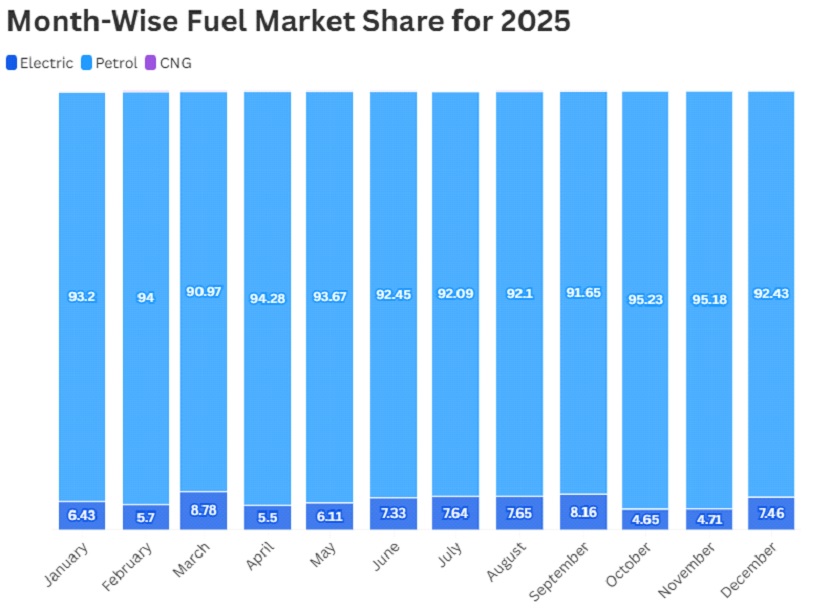 Month-Wise Fuel Market Share for 2025